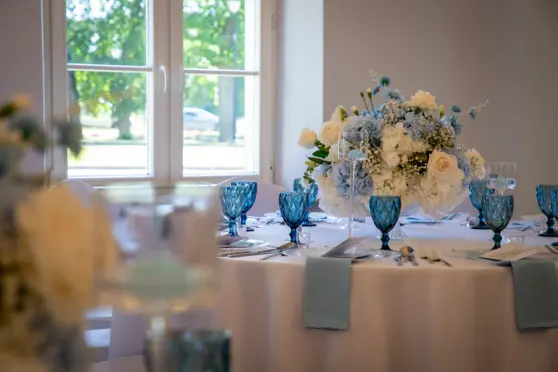 Pałac Domaniowski - zdjęcie 10