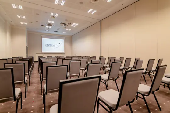 Copernicus Toruń Hotel - zdjęcie 1