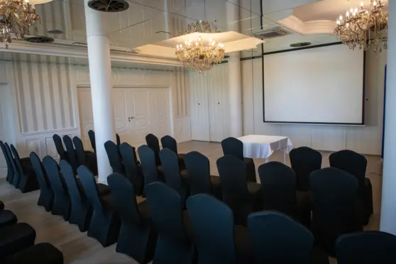 Pałac Domaniowski - zdjęcie 2