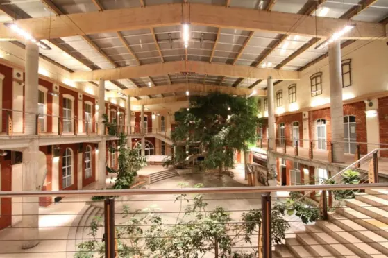 Instytut Postępowania Twórczego - zdjęcie 2