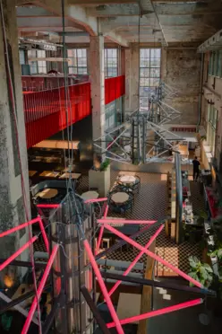 ZEROZERO - zdjęcie 1