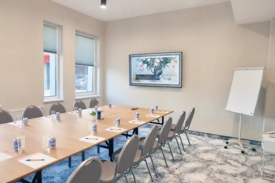 Hotel Tulip Inn Żyrardów - zdjęcie 1