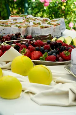 Pałac Żółwin - zdjęcie 1