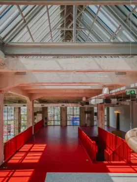 ZEROZERO - zdjęcie 1