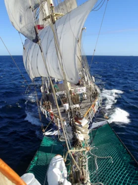 STS Fryderyk Chopin - zdjęcie 1