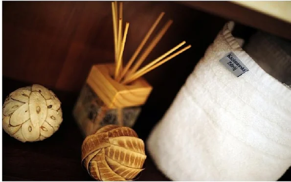 Hotel Kazimierski Zdrój Janowiec szkolenia