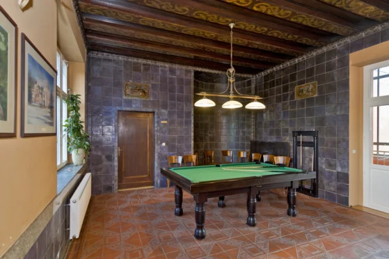 Pałac Paulinum - zdjęcie 1