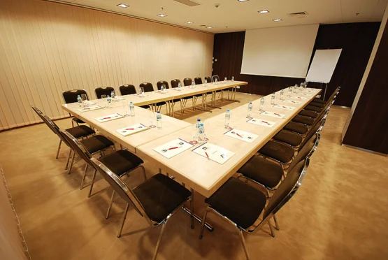 Premier Kraków Hotel - zdjęcie 1