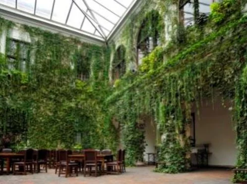 Hotel Zamek Joannitów - zdjęcie 1