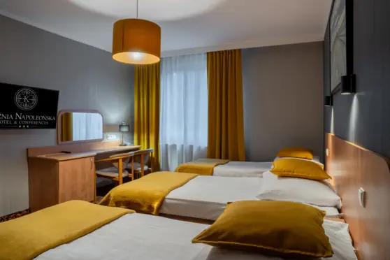 Hotel Kuźnia Napoleońska - zdjęcie 6