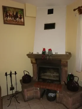 "Rancho pod Olszyną" Usługi Rekreacyjno-Sportowe - zdjęcie 3