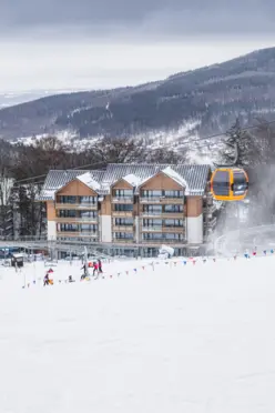 Forest Park Resort & SPA