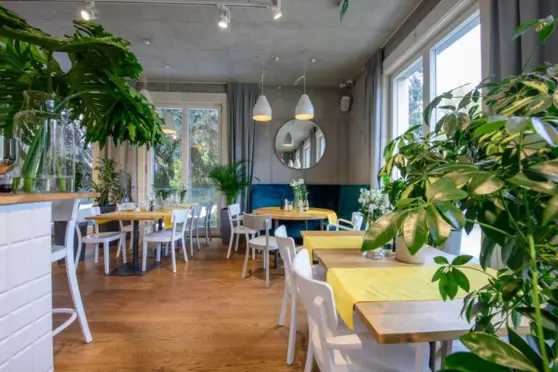 Mille Vigiani Syta 93 - zdjęcie 3