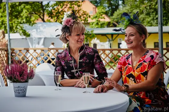 Wrocławski Tor Wyścigów Konnych - Partynice - zdjęcie 3