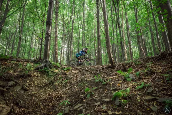 Hotel Na Błoniach - zdjęcie 7
