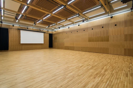 Europejskie Centrum Muzyki Krzysztofa Pendereckiego sala kameralna