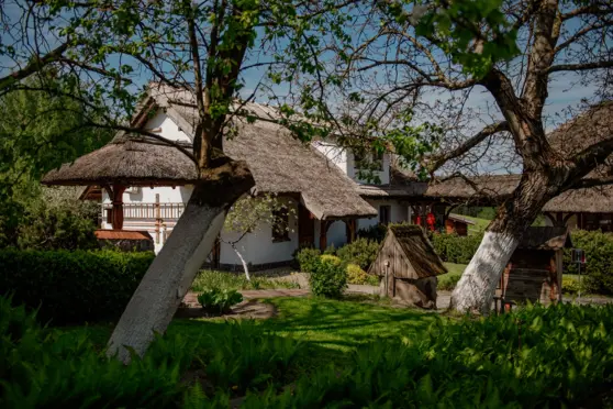 Hotel Głęboczek Vine Resort & Spa - zdjęcie 5