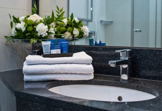 Crown Piast Hotel & SPA - zdjęcie 6