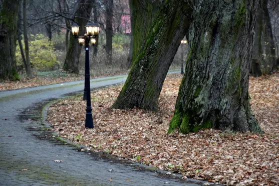 Willa Kaprys Grodzisk Mazowiecki park