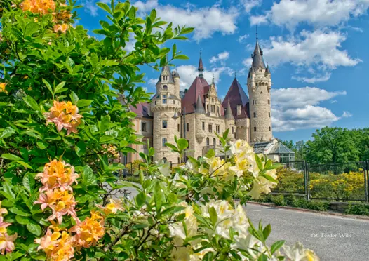 Moszna - Zamek - zdjęcie 1