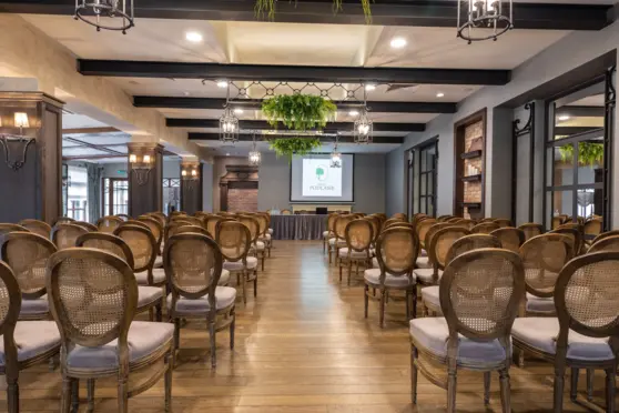 Sala Ogrodowa | ustawienie kinowo 100 osób