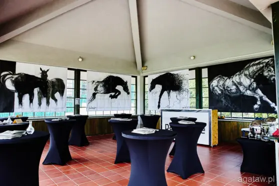 Wrocławski Tor Wyścigów Konnych - Partynice - zdjęcie 2