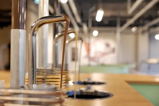 Muzeum Fabryki Czekolady E. Wedla - photo 2