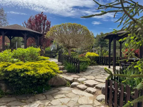 Hotel Ambasada - photo 3