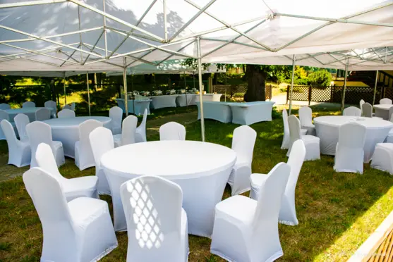 Wrocławski Tor Wyścigów Konnych - Partynice - zdjęcie 4