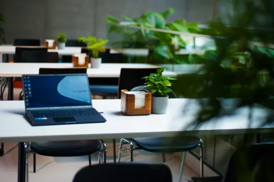 CEE – Egzotarium - photo 4