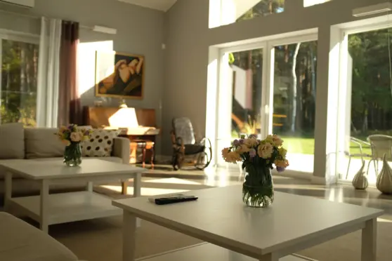 Las Papiernia - zdjęcie 6