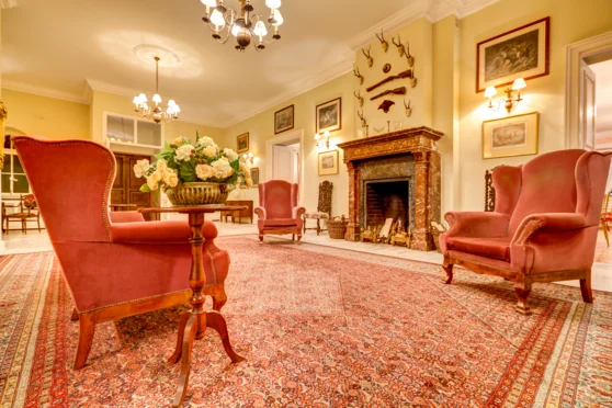 Pałac Zaborówek - zdjęcie 3