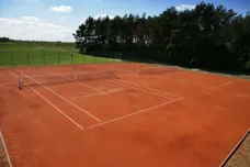 Tenis