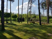 Plener w leśnej scenerii