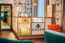 Butik z autorską biżuterią - GALEA