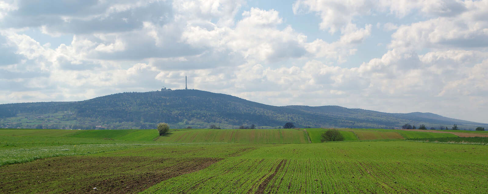 Sale konferencyjne: Góry Świętokrzyskie
