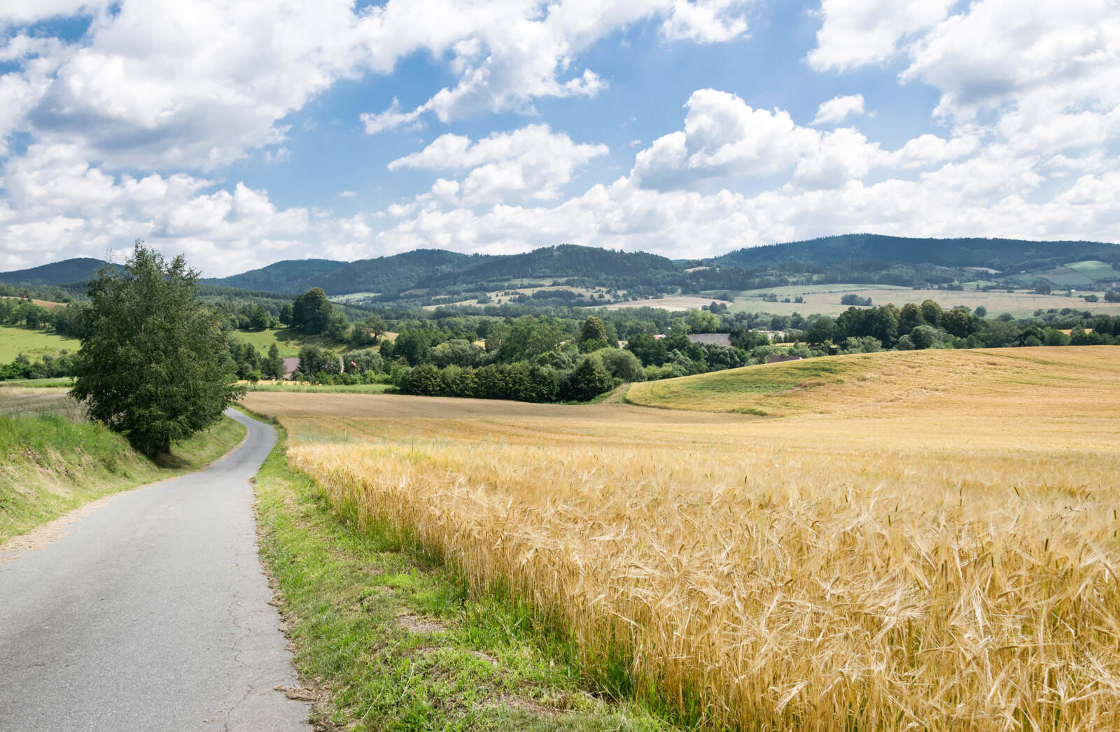 Sale konferencyjne: Sudety