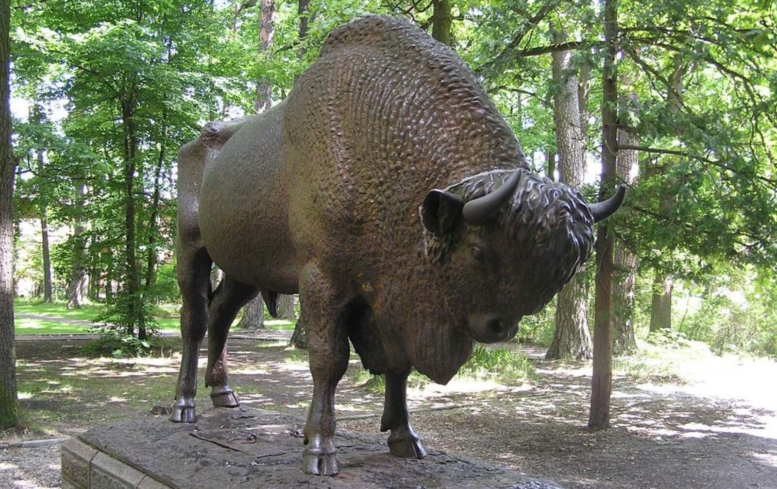 Sale konferencyjne w Spale