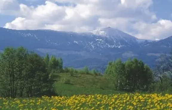 Śnieżka