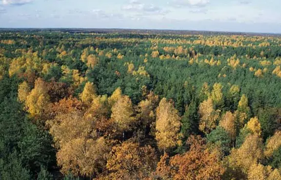 Kampinoski Park Narodowy