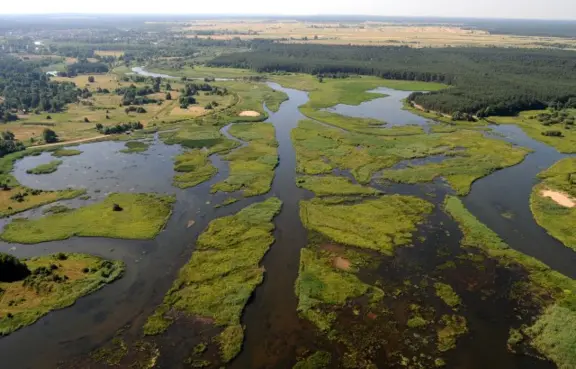 Biesiada staropolska