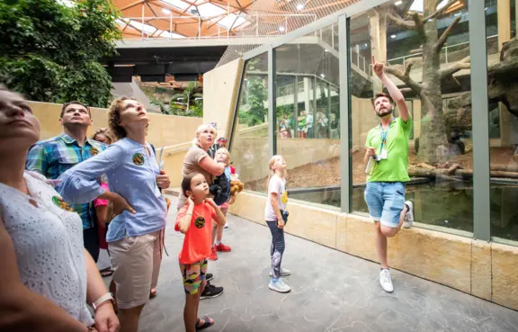 Zwiedzanie z przewodnikiem