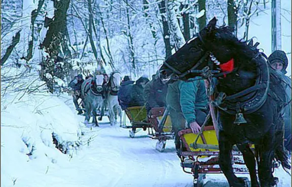 Przejażdżki bryczkami
