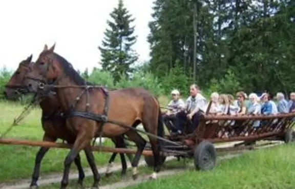 Przejazd wozem i Ognisko