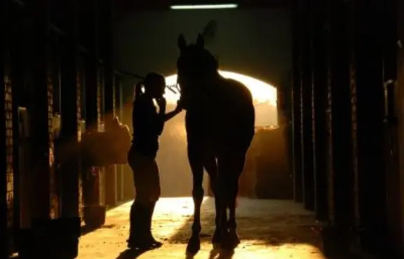 Ośrodek Jeździecki