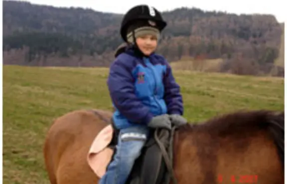 HUCUŁY W BIESZCZADACH