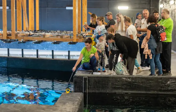 Warsztaty edukacyjne