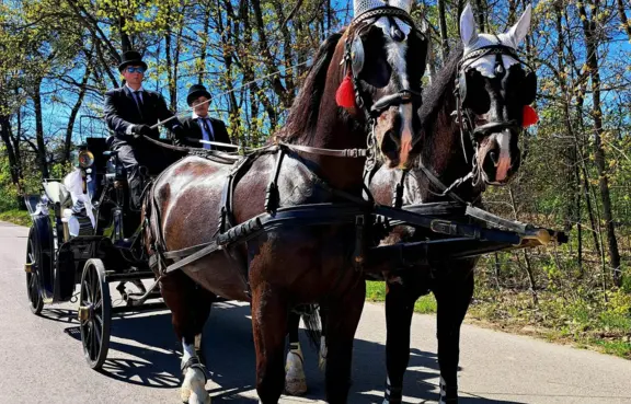 Zagroda Konik Polny. Przejażdżki bryczką.