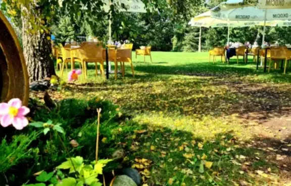 Ogród w którym można zorganizować przyjęcia okolicznościowe w plenerze.