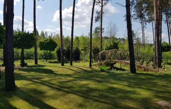 Plener w leśnej scenerii